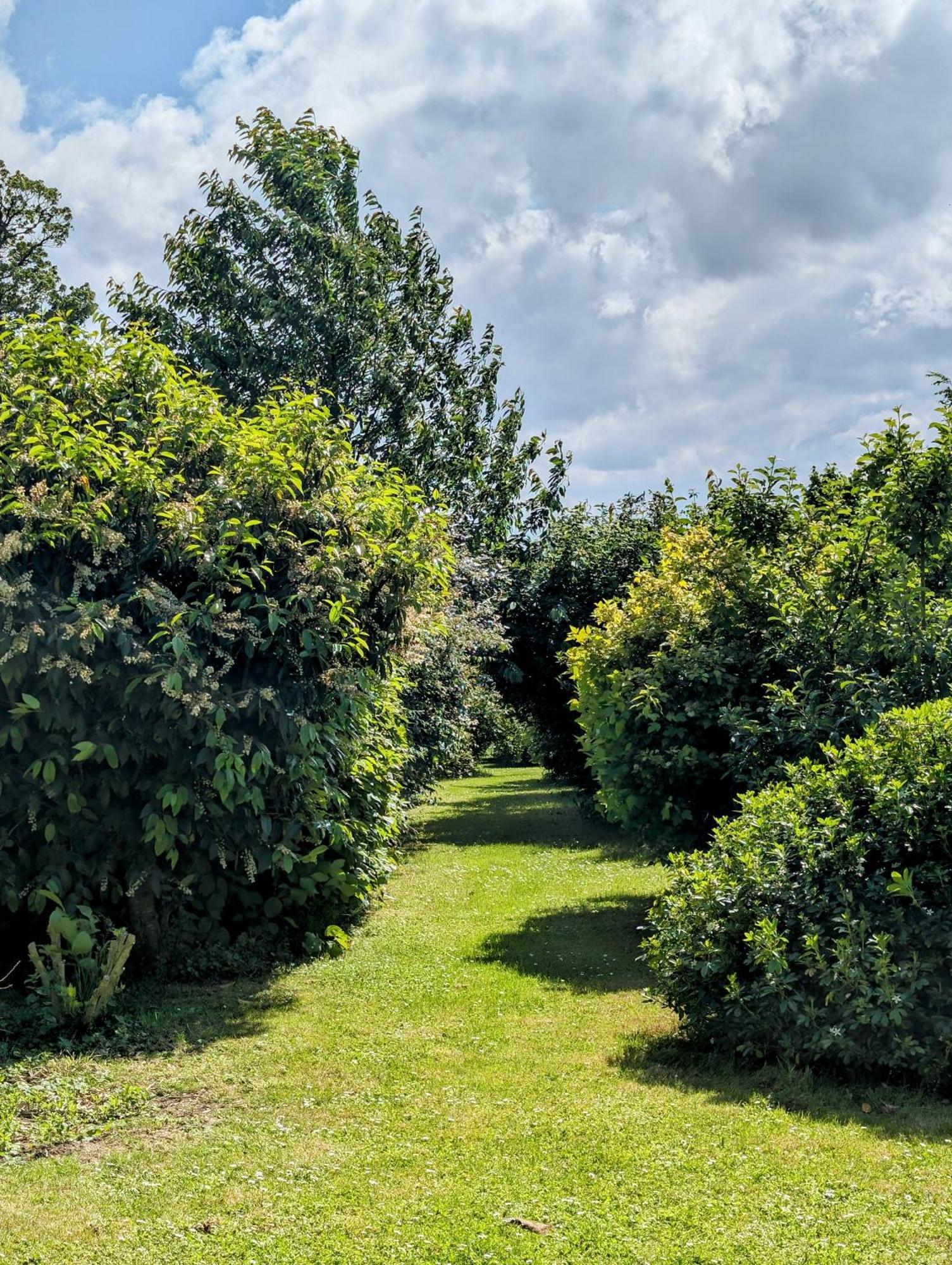 Le Relais Du Beffroi & Spa Saint-Riquier Екстериор снимка